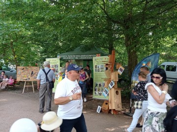 Piknikowo i sportowo z Województwem Łódzkim w Uniejowie, 